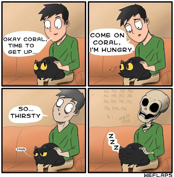 30 Comics That Show What Living With A Cat Is Really Like