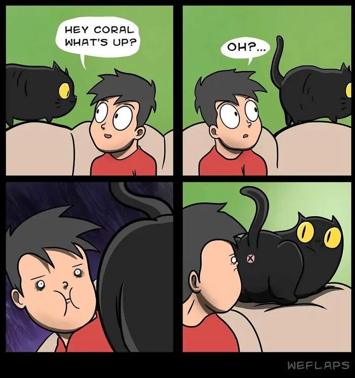 30 Comics That Show What Living With A Cat Is Really Like