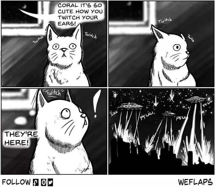 30 Comics That Show What Living With A Cat Is Really Like