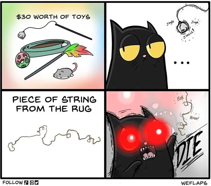 30 Comics That Show What Living With A Cat Is Really Like