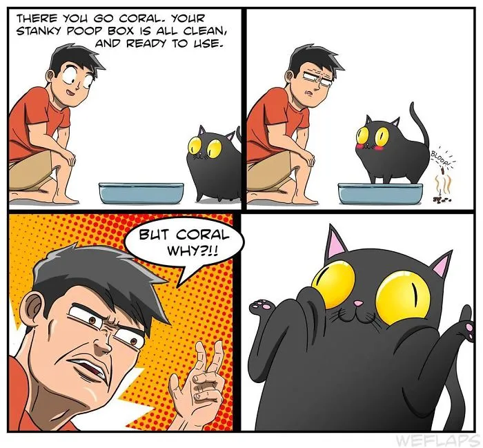 30 Comics That Show What Living With A Cat Is Really Like