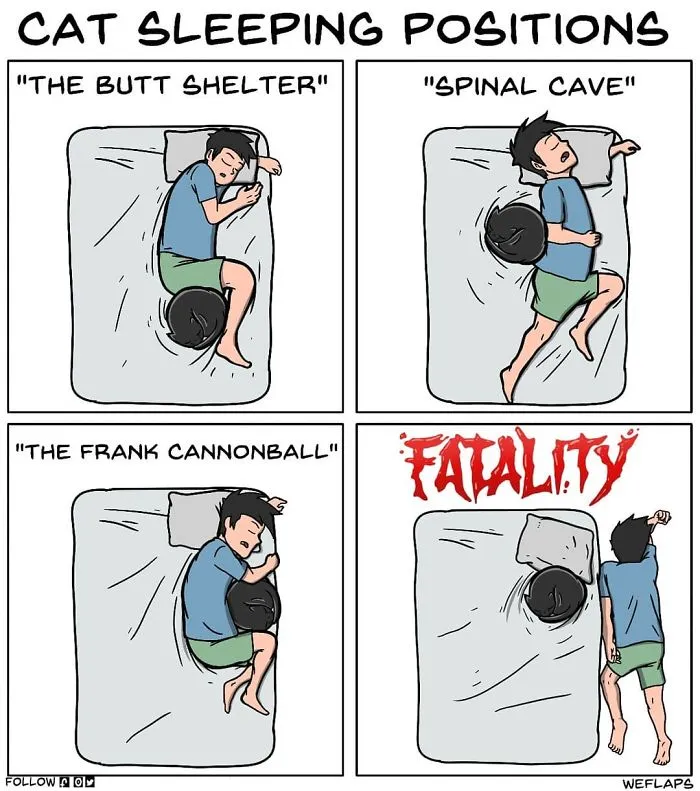 30 Comics That Show What Living With A Cat Is Really Like