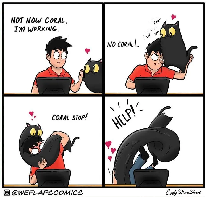 30 Comics That Show What Living With A Cat Is Really Like