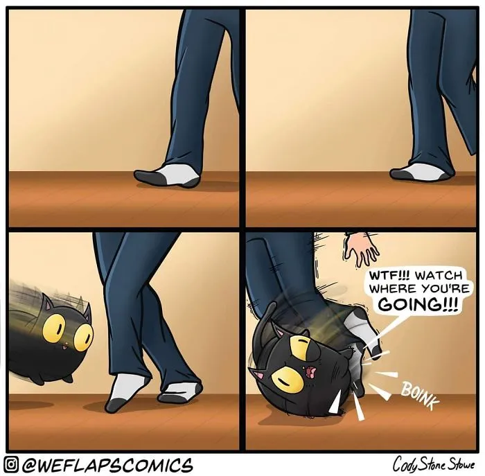 30 Comics That Show What Living With A Cat Is Really Like