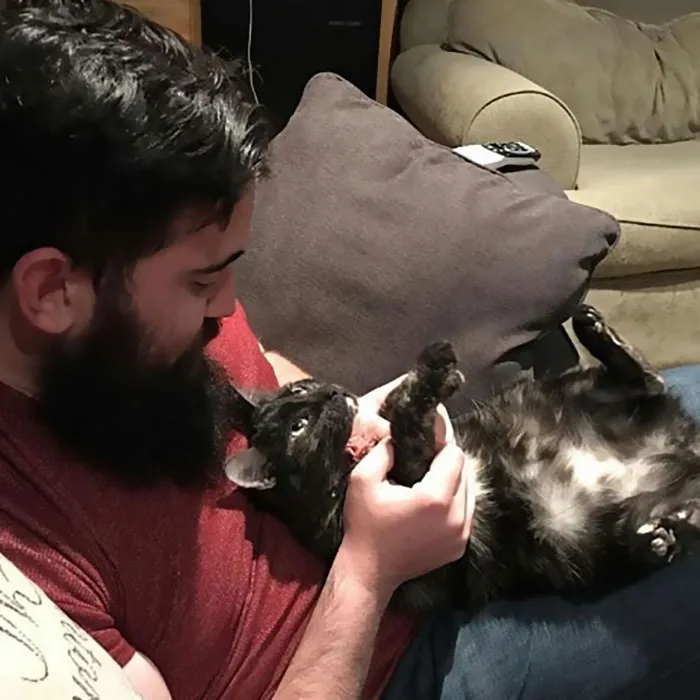 30 Times Jerk Cats Were Publicly Shamed For Their Hilariously Horrible Crimes