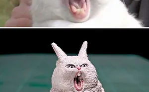 40 Perfectly Captured Animal Images Get Turned Into Hilarious Sculptures By Japanese Artist