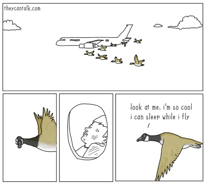 I Show What Birds Would Say If They Could Talk (26 Pics)