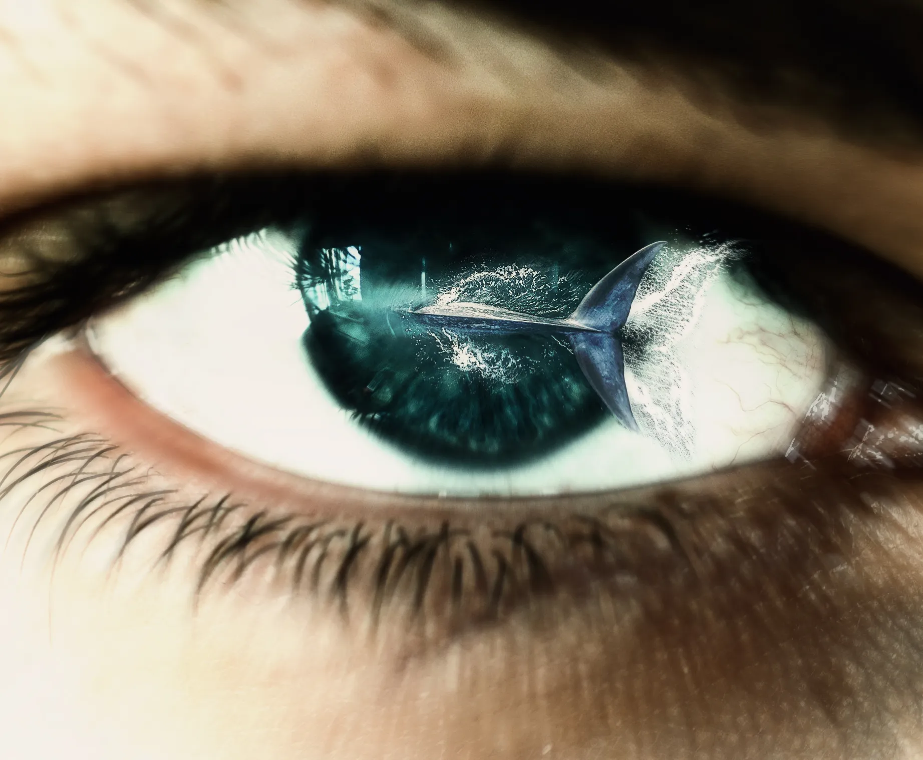 Digital Art