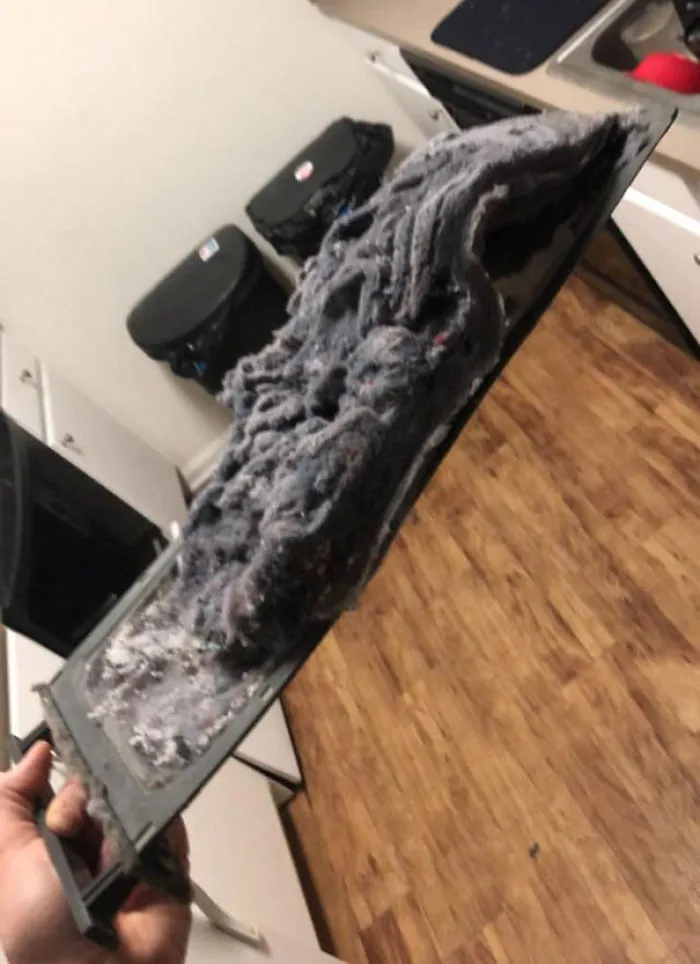 Mis Compañeros De Piso Parecen Olvidar Que Esto Existe