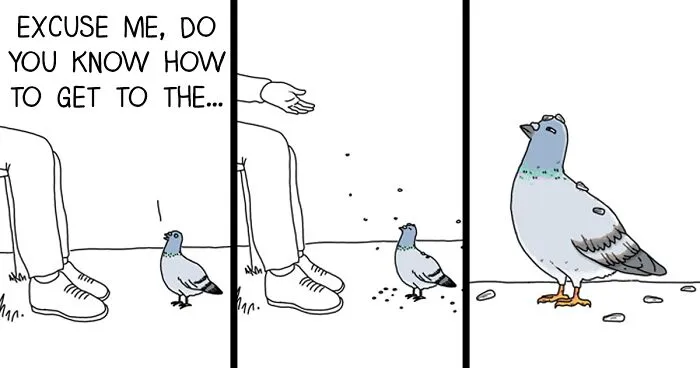 I Show What Birds Would Say If They Could Talk (26 Pics)