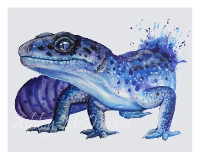 My 30 Animal Portraits That I Painted Using Watercolors And Pencils