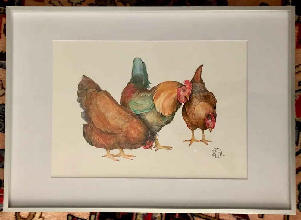 Chickens