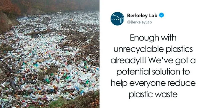 Scientists Created A New Type Of Plastic That Stops The Non-Recyclable Plastic Problem