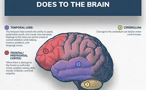 Illustrations Show The Damage Drugs And Alcohol Abuse Can Do To The Brain