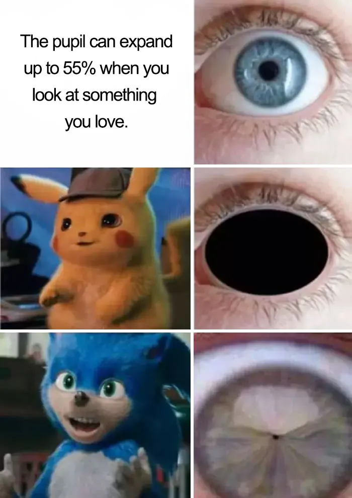 30 People That Roasted New Sonic Character Design So Bad, That The Creators Decide To Change Its Appearance