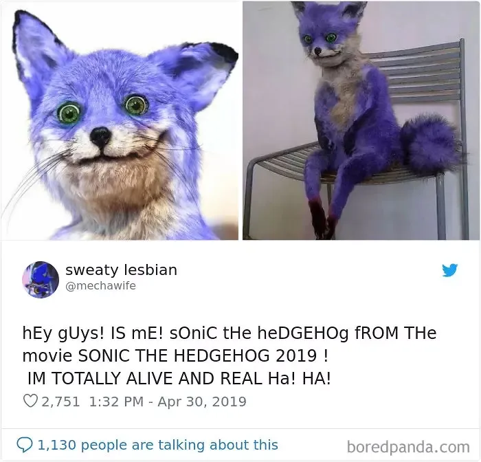 30 People That Roasted New Sonic Character Design So Bad, That The Creators Decide To Change Its Appearance