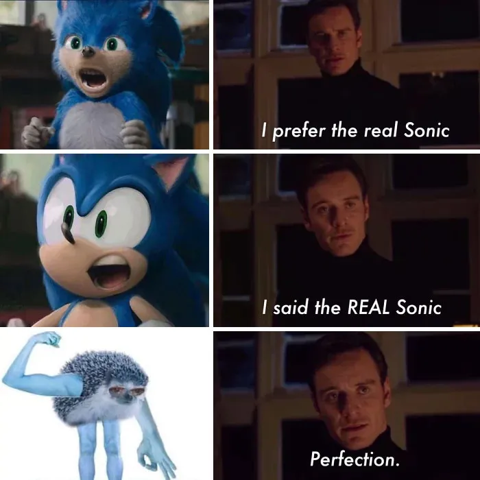 30 People That Roasted New Sonic Character Design So Bad, That The Creators Decide To Change Its Appearance
