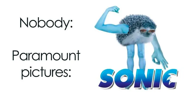 30 People That Roasted New Sonic Character Design So Bad, That The Creators Decide To Change Its Appearance