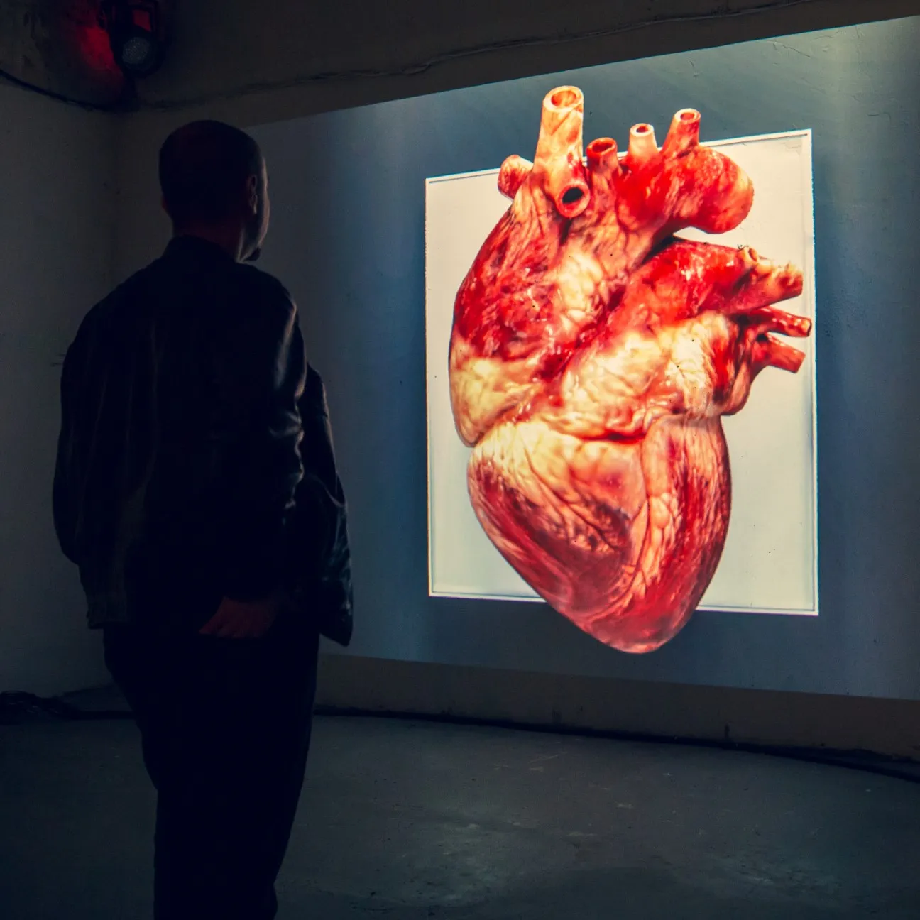This Impressive Art Installation Is Synchronized With The Viewer's Heartbeat