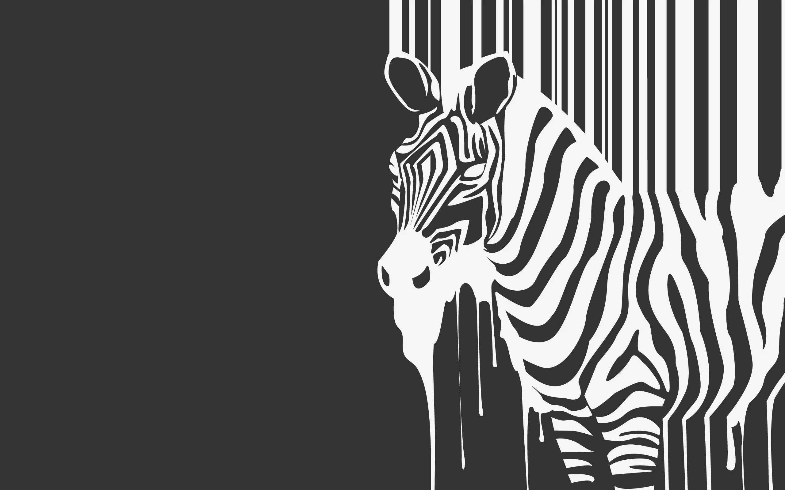 I Like Zebras, I Wanted To Share Some Of My Favorite Pictures