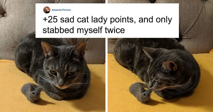 Woman Makes 'A Cat Out Of Her Cat' By Using Cat's Hair And The Result Inspires Others To Do The Same