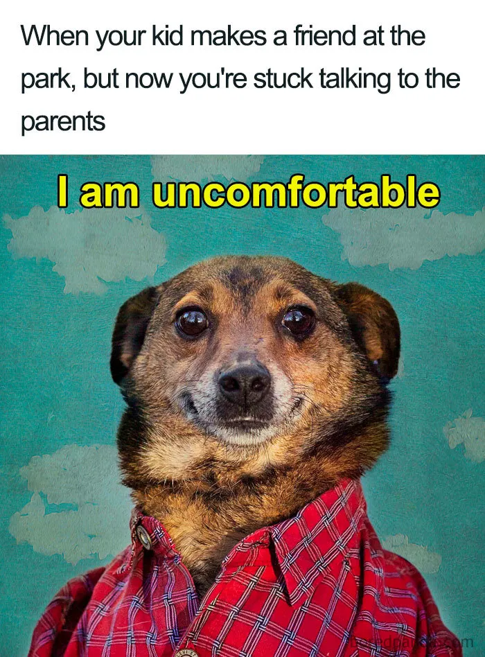 45 Funniest Memes That Sum Up Life As A Mom