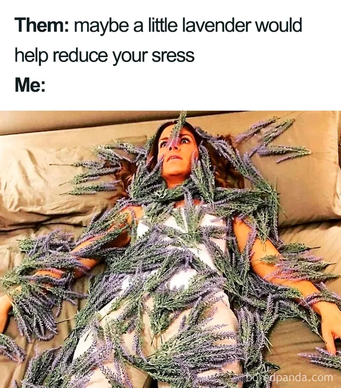 45 Funniest Memes That Sum Up Life As A Mom
