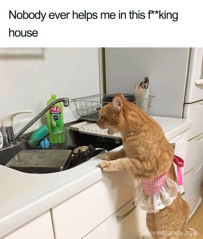 45 Funniest Memes That Sum Up Life As A Mom