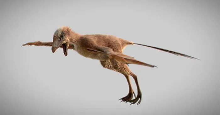 Scientists Just Discovered 163 Million-Year-Old Dinosaur Remains And Looks Like They Had Bat Wings