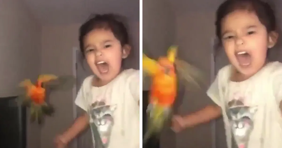 Esta niña entrena a su pájaro para atacar a quien ella quiera, y parece una supervillana