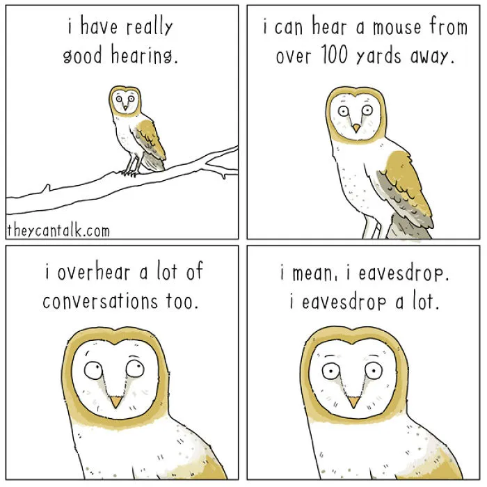 I Show What Birds Would Say If They Could Talk (26 Pics)