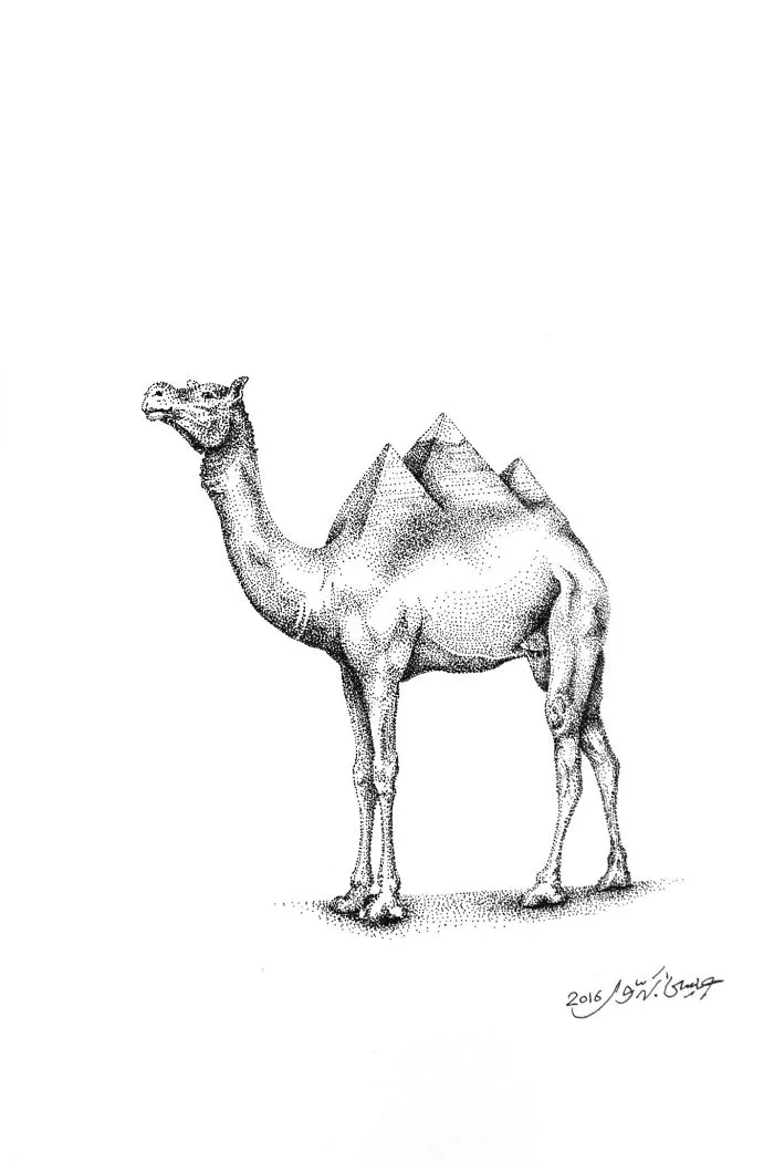 Camel, Egypt