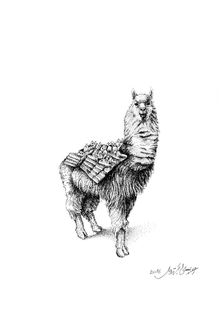 Vicuña, Peru