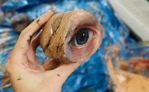 I Collect Rocks, Paint Eyes On Them And Return Them To The Landscape To Be Found Or Lost Forever (10 Pics)