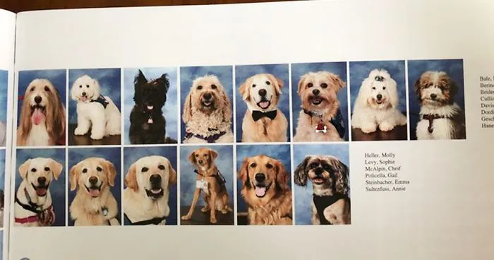 This School Dedicated A Yearbook Page To The Parkland Shooting Survivors’ Therapy Dogs