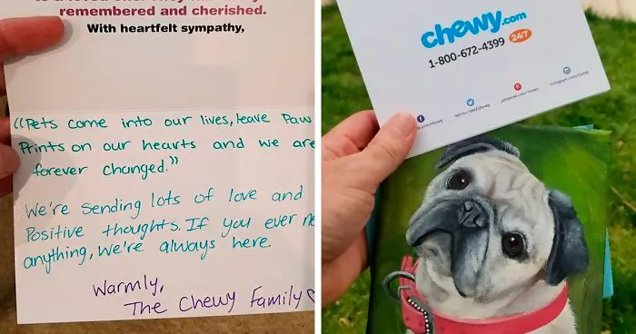 Man Asks Chewy For A Refund On Dog Food After His Dog Passes Away, Gets An Oil Painting With A Message