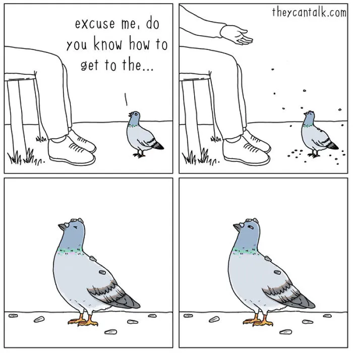 I Show What Birds Would Say If They Could Talk (26 Pics)