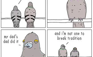 I Show What Birds Would Say If They Could Talk (26 Pics)