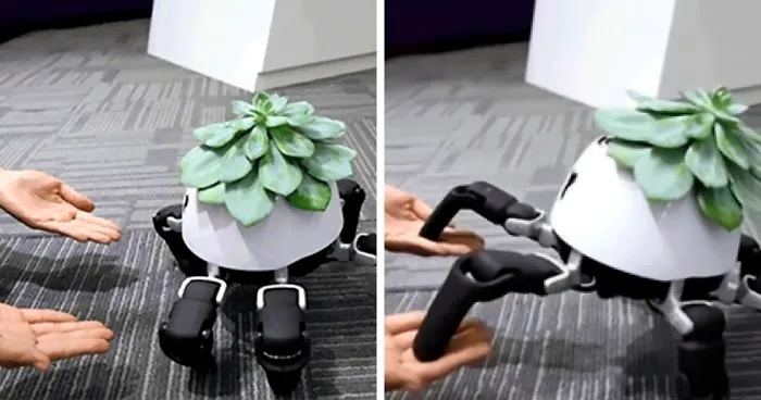 This Robot Is Designed To Chase The Sun So Your Plant Will Get All The Light It Needs