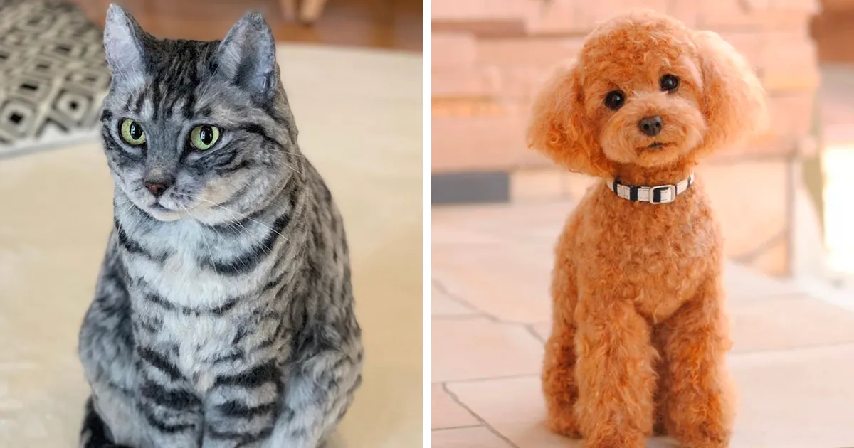 25 Wool Animals That Will Make You Look Twice