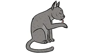 4 Hilarious Comics Explaining Why Cats Are Better Than Dogs