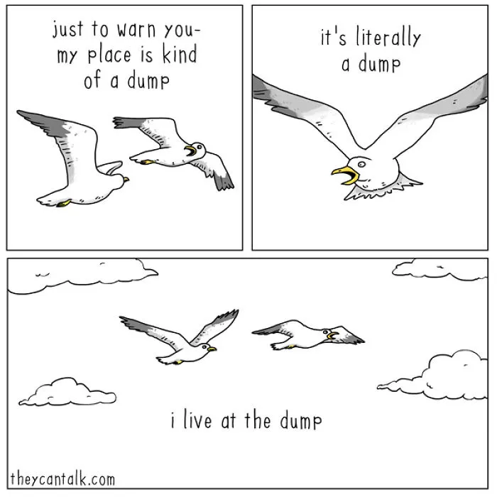 I Show What Birds Would Say If They Could Talk (26 Pics)
