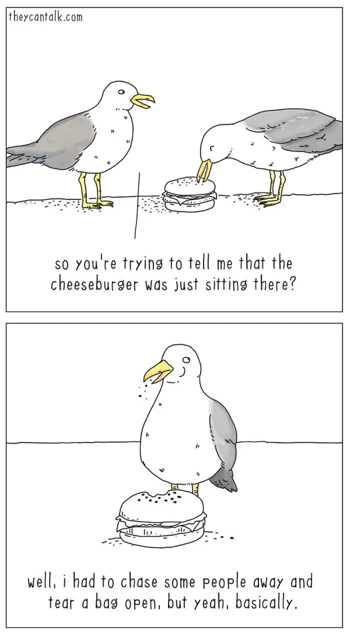 I Show What Birds Would Say If They Could Talk (26 Pics)