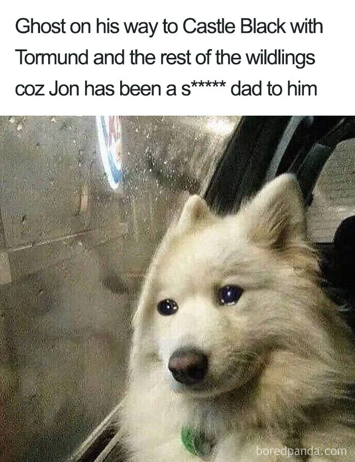 30 Best Memes From The Game Of Thrones Season 8, Episode 4 (Spoilers)