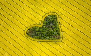 "Grove Of Love" - Natural Heart Captured By Jan Ulicki