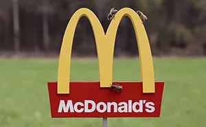 McDonalds Opens A Tiny Restaurant For Bees