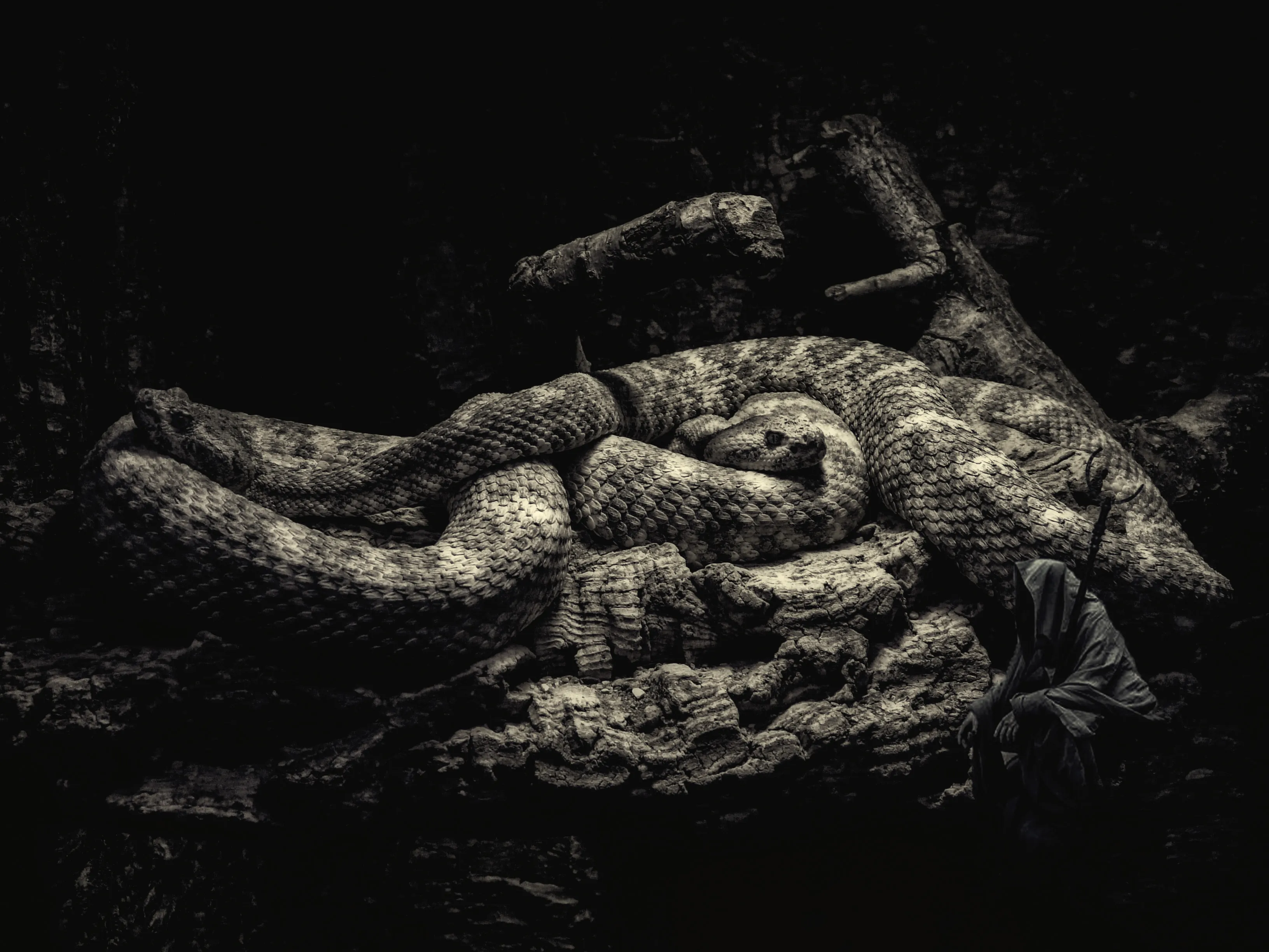 Photo Manipulation