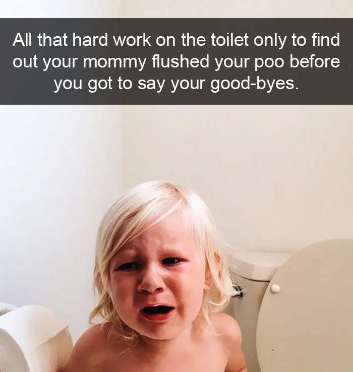 All That Hard Work On The Toilet Only To Find Out Your Mommy Flushed Your Poo Before You Got To Say Your Good-Byes.
