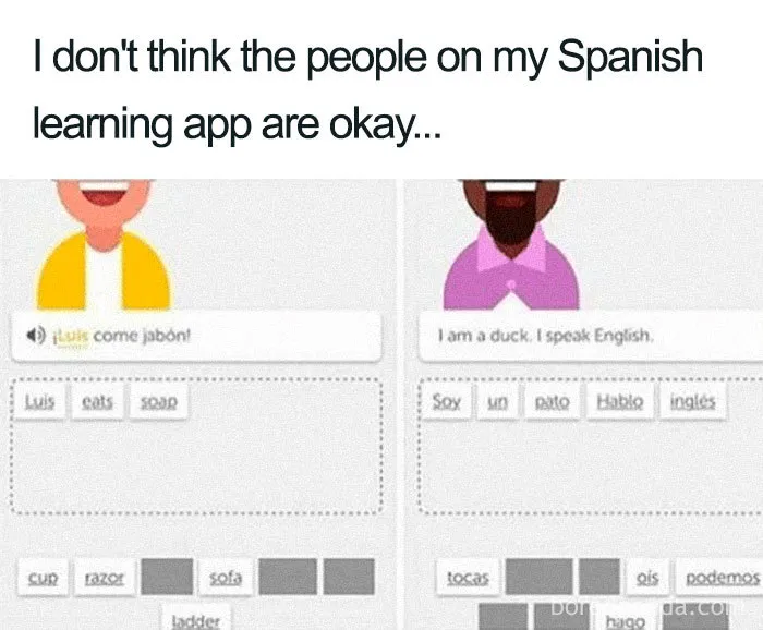 Funny meme about Spanish language app with quirky translation prompts.