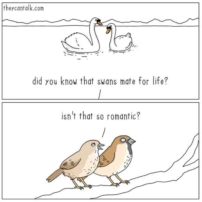 I Show What Birds Would Say If They Could Talk (26 Pics)